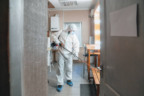 Best Environmental Consulting for Mold Prevention  in Lebanon, TN