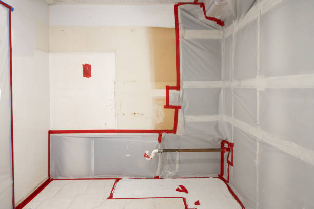 Best Emergency Mold Remediation  in Lebanon, TN