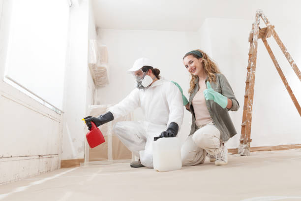 Best Mold Odor Removal Services  in Lebanon, TN